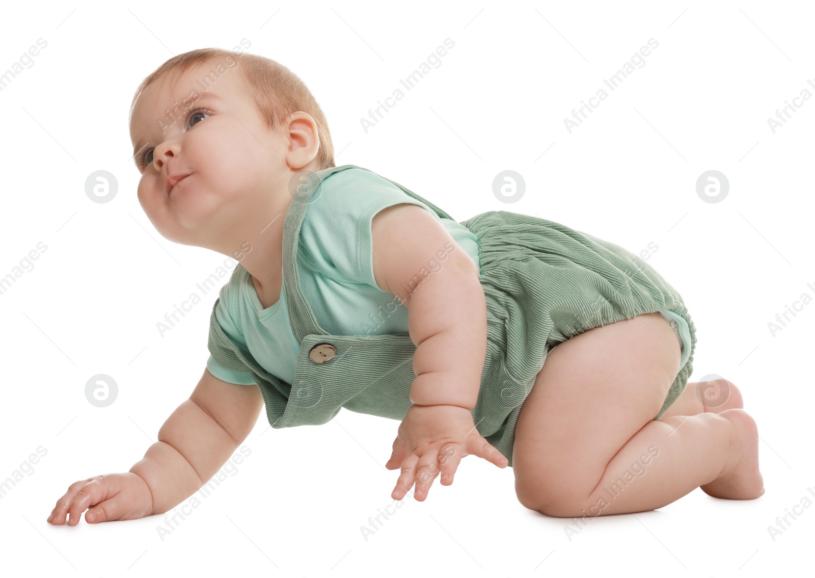 Photo of Cute little baby crawling on white background