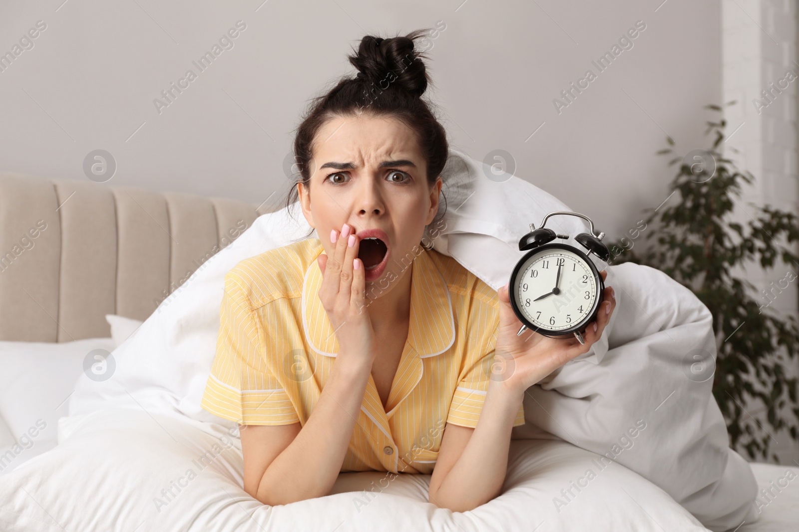 Photo of Emotional overslept woman with alarm clock in bed. Being late concept