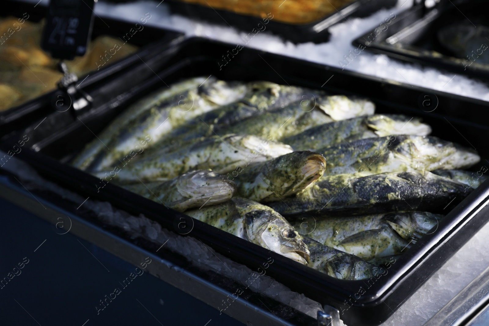 Photo of Fresh marinated fish in container on display, closeup