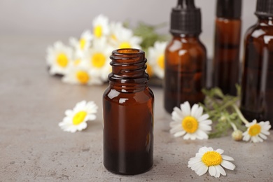 Photo of Bottles of chamomile essential oil and flowers on grey table, space for text