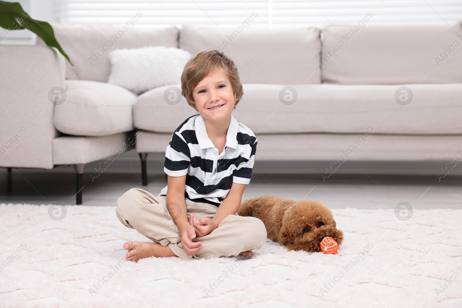 Photo of Little child and cute puppy on carpet at home. Lovely pet