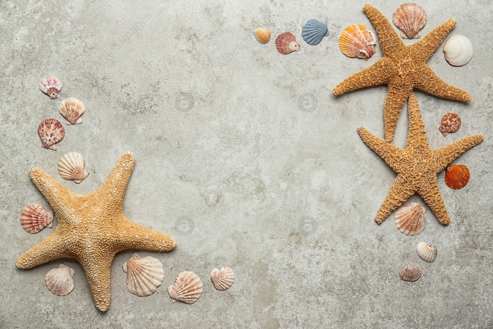 Photo of Flat lay composition with seashells on gray background. Beach objects