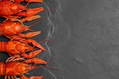 Delicious boiled crayfishes on black table, flat lay. Space for text