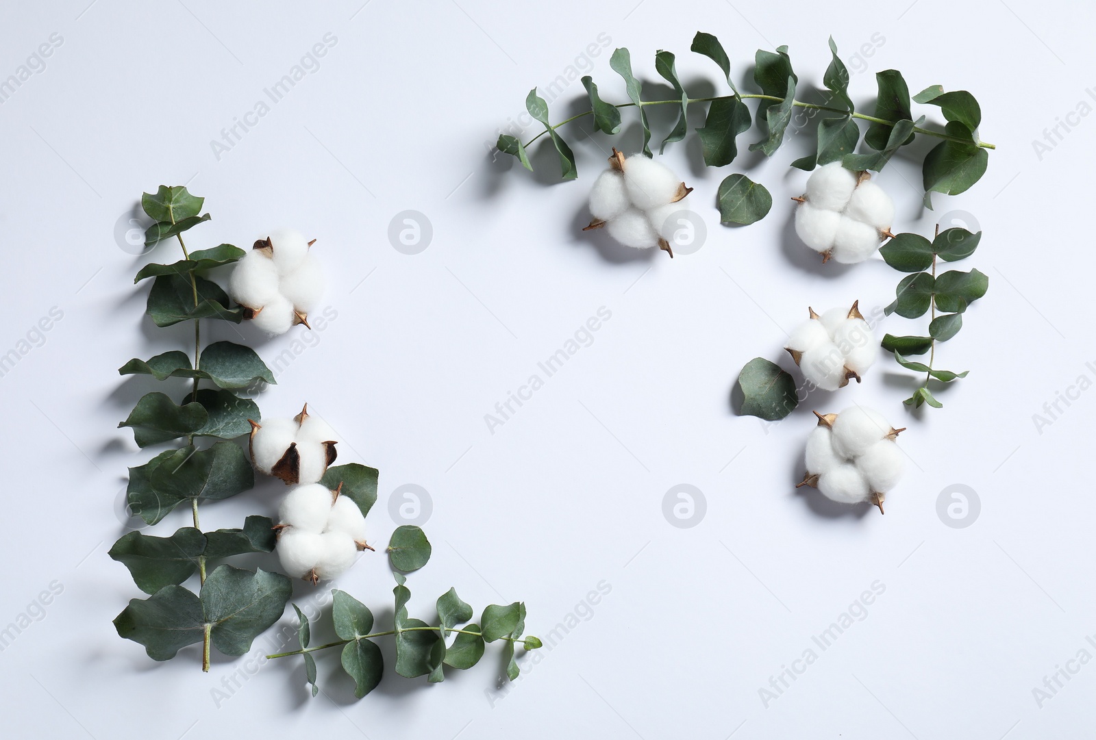 Photo of Fluffy cotton flowers and eucalyptus branches on white background, flat lay. Space for text