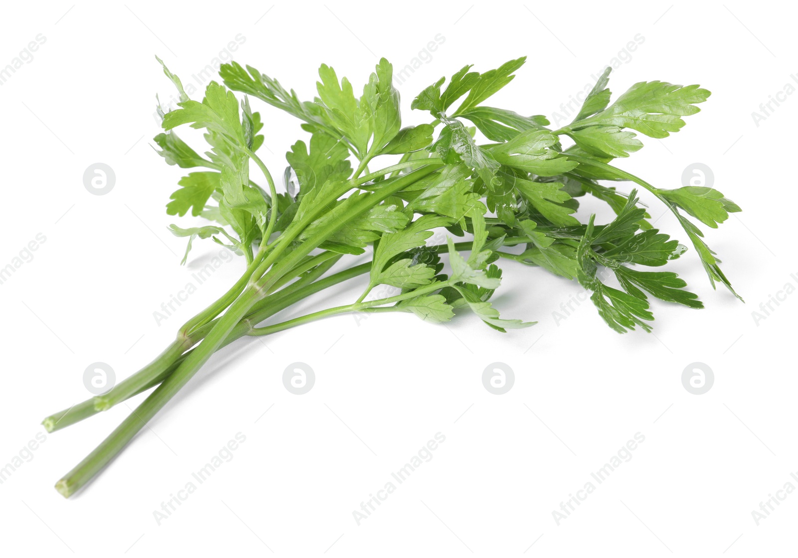 Photo of Sprigs of fresh green parsley leaves isolated on white