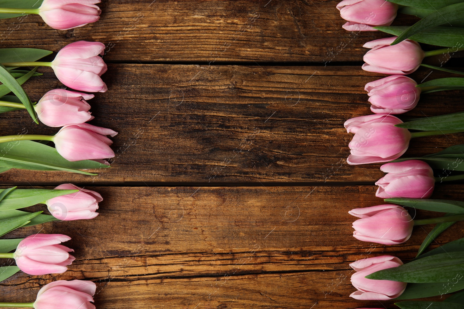 Photo of Beautiful pink spring tulips on wooden background, flat lay. Space for text