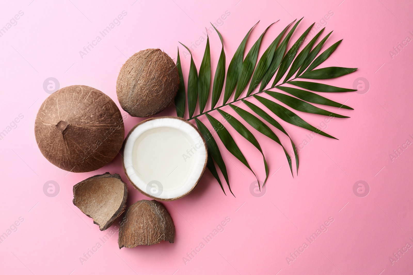 Photo of Fresh coconuts and palm leaf on pink background, flat lay