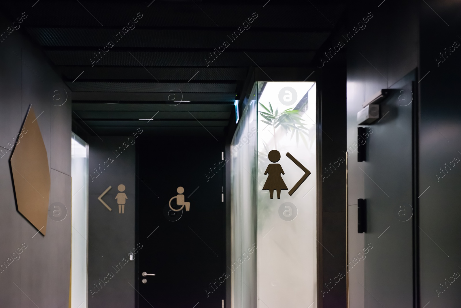 Image of Different signs with arrows showing directions to public toilets