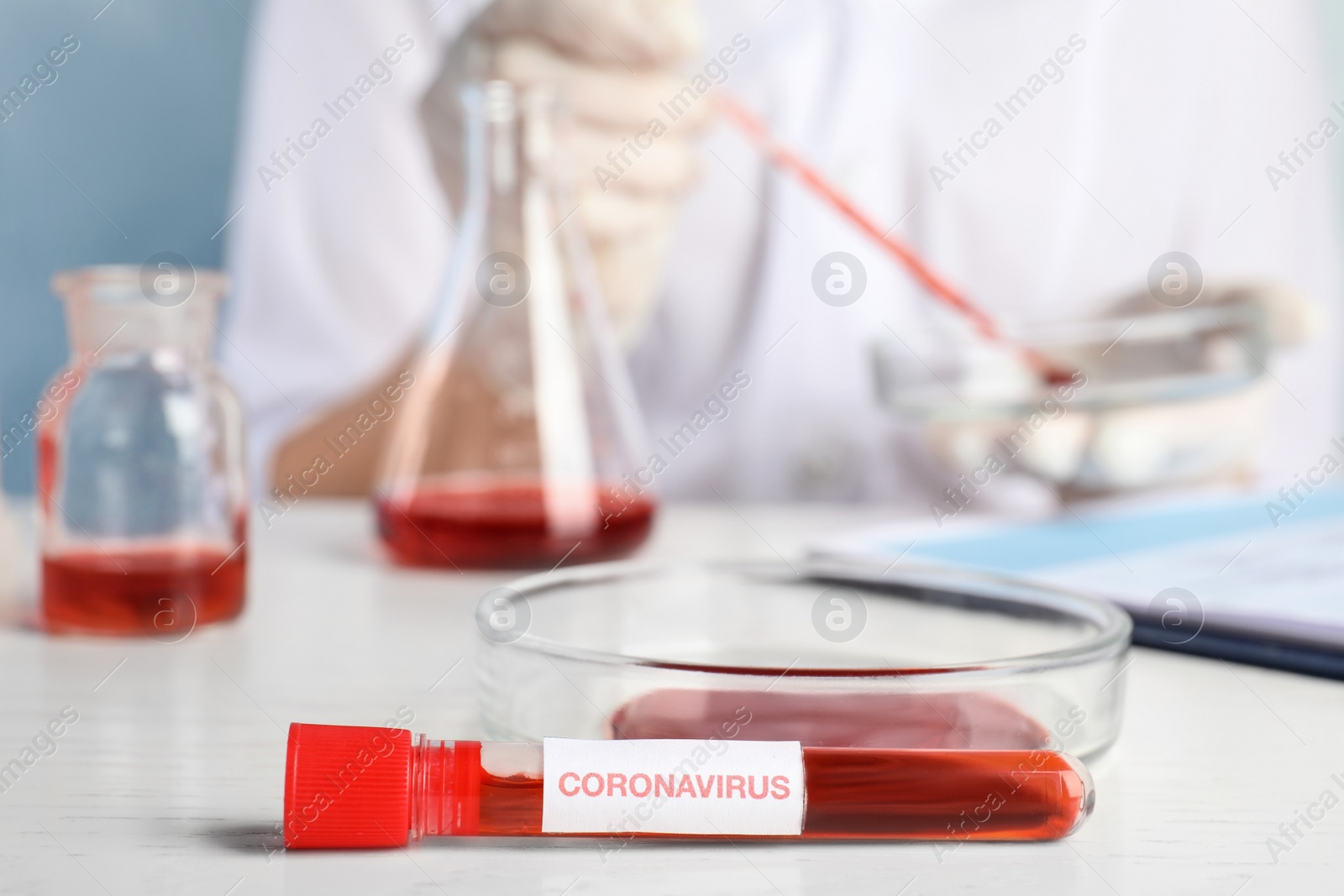 Photo of Test tube with blood sample and label CORONA VIRUS and Petri dish on table in laboratory, closeup