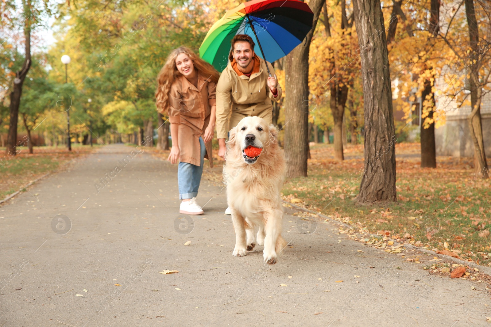 Photo of Young couple with umbrella and dog walking in park