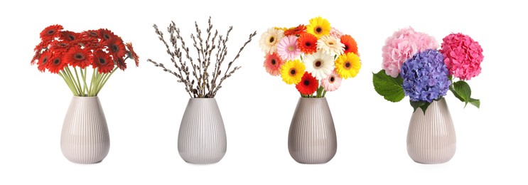 Image of Collage with various beautiful flowers and pussy willow branches in vases on white background. Banner design