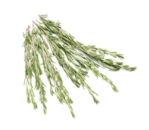 Photo of Rosemary twigs on white background. Aromatic herbs