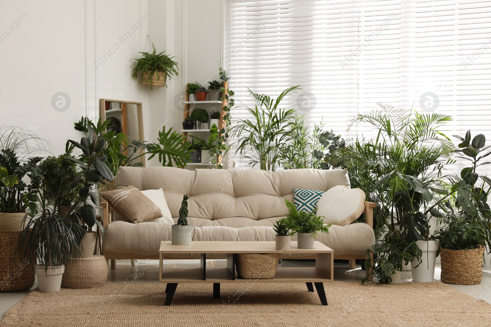 Photo of Stylish room interior with comfortable sofa and beautiful potted plants. Lounge zone