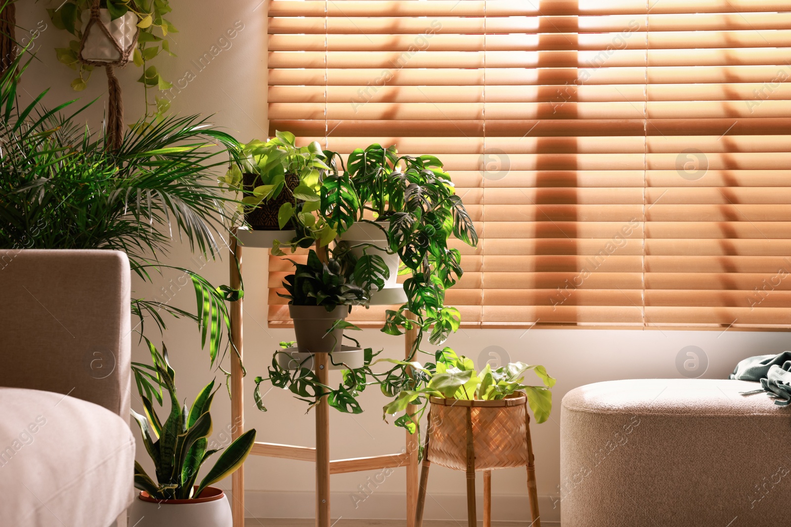 Photo of Cozy room interior with stylish furniture and beautiful houseplants near window