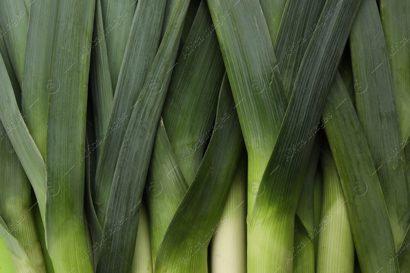 Photo of Fresh raw leeks as background, top view