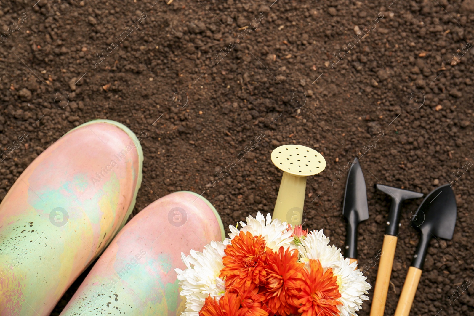 Photo of Gardening tools, boots and flowers on fresh soil, flat lay. Space for text