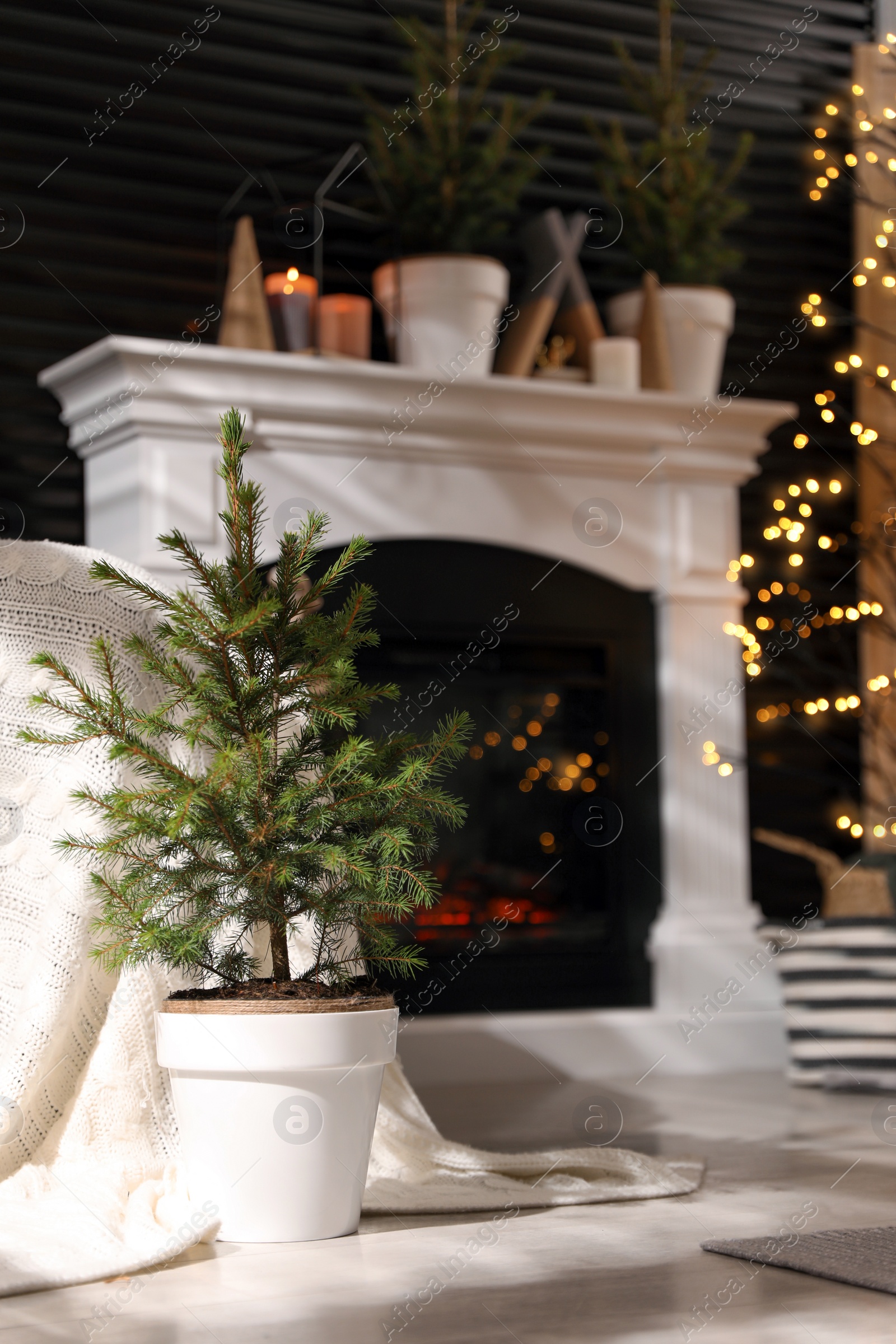 Photo of Beautiful room interior with potted fir tree and fireplace