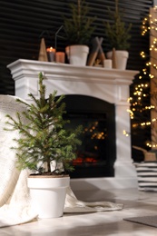 Photo of Beautiful room interior with potted fir tree and fireplace