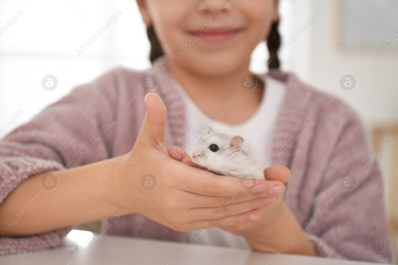 Photo of Little girl with cute hamster at home, closeup