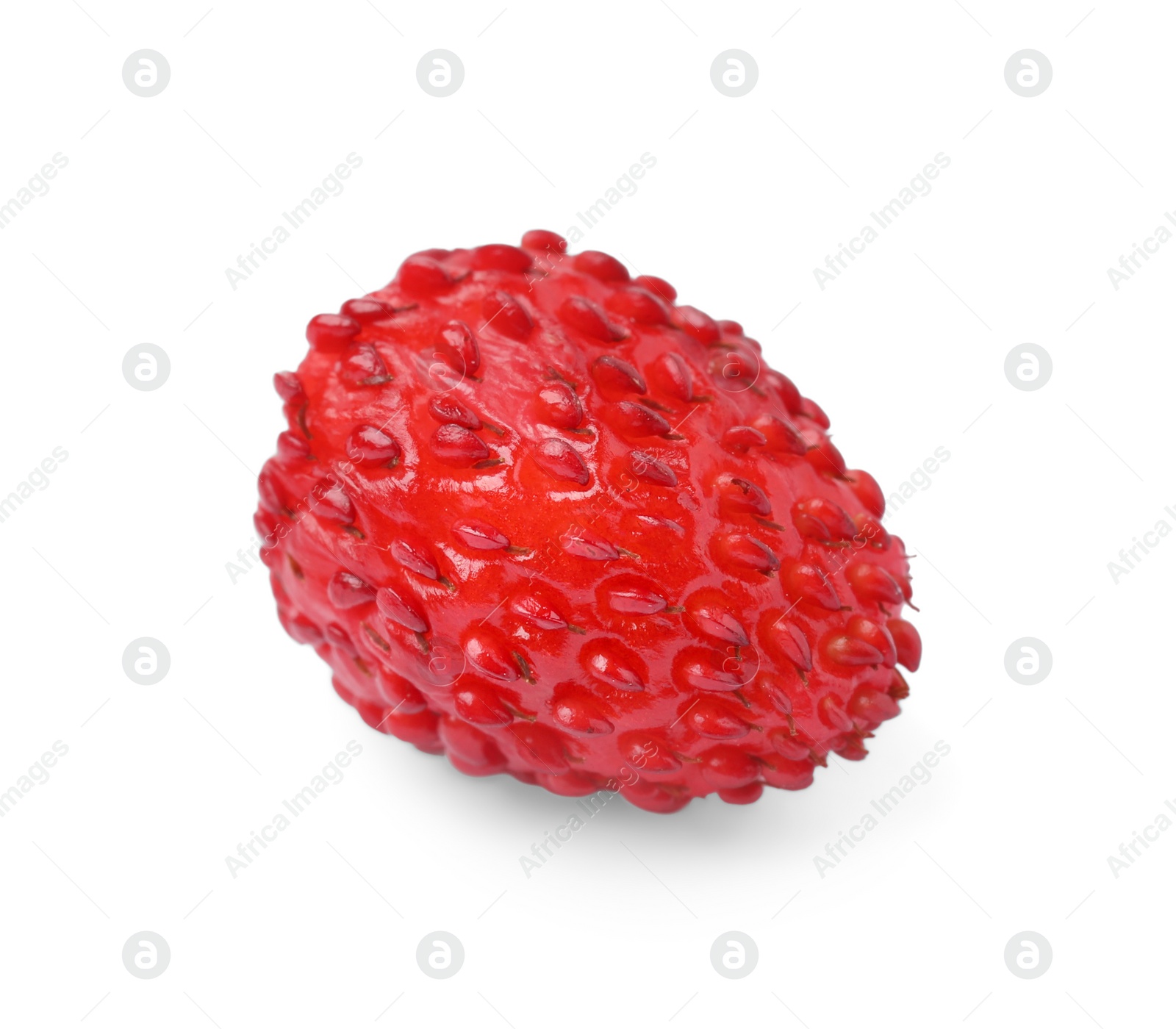 Photo of One ripe wild strawberry isolated on white