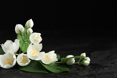 Photo of Beautiful jasmine flowers on grey table against black background. Space for text