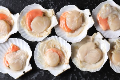 Photo of Fresh raw scallops with shells on black textured table, flat lay