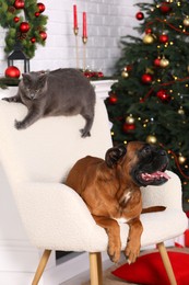 Cute dog and cat on armchair in room decorated for Christmas