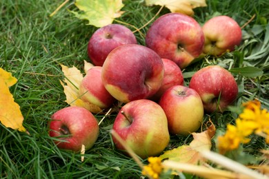 Photo of Delicious ripe red apples and maple leaves on green grass outdoors, closeup. Autumn harvest