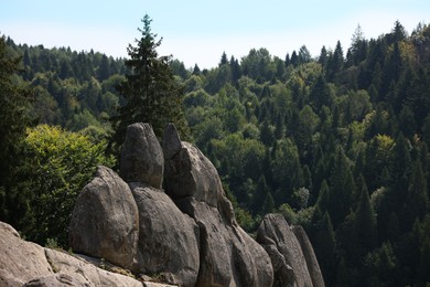 Picturesque view of mountains covered with forest and stones