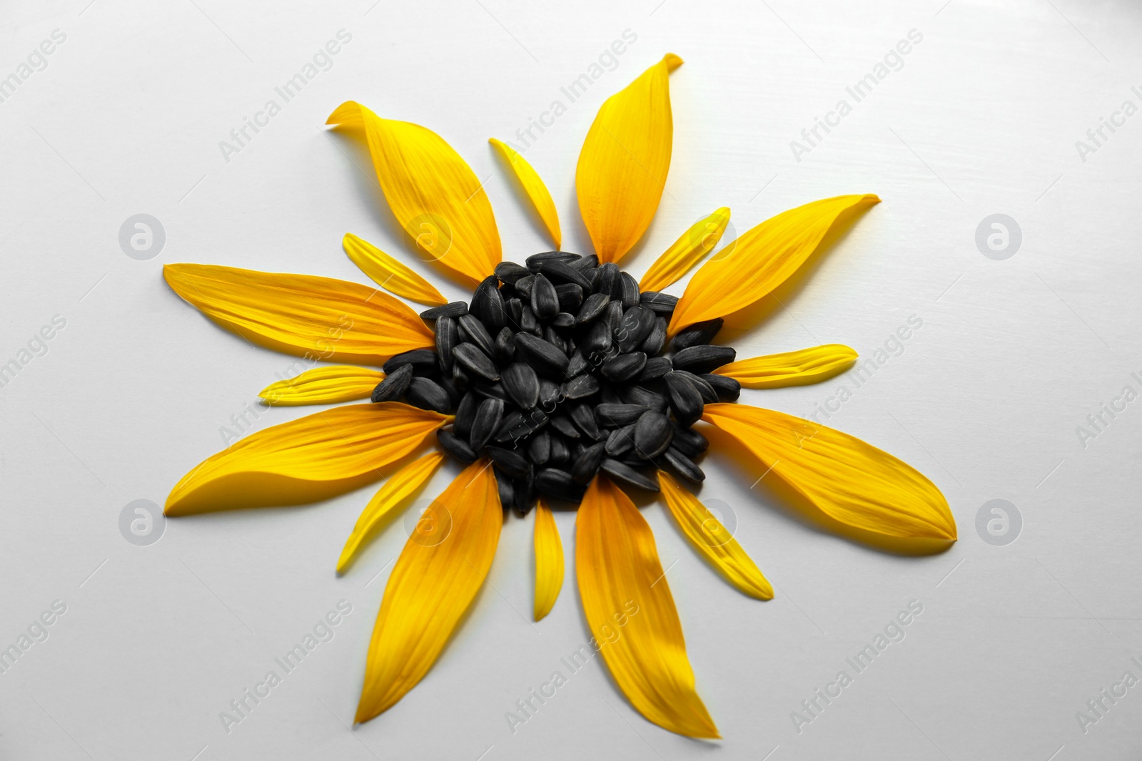 Photo of Composition with petals and sunflower seeds on white background