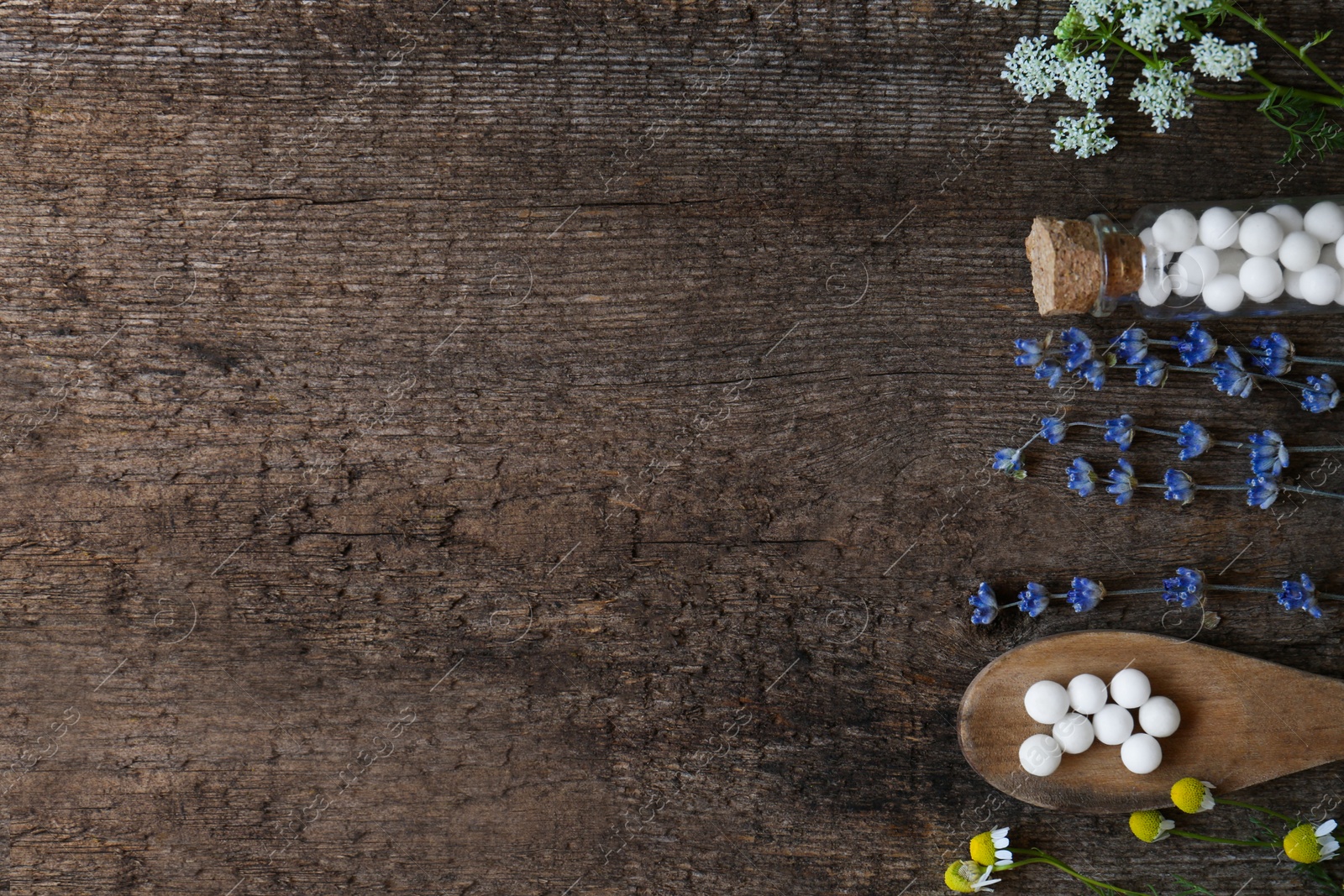 Photo of Flat lay composition with homeopathic remedy and flowers on wooden table. Space for text