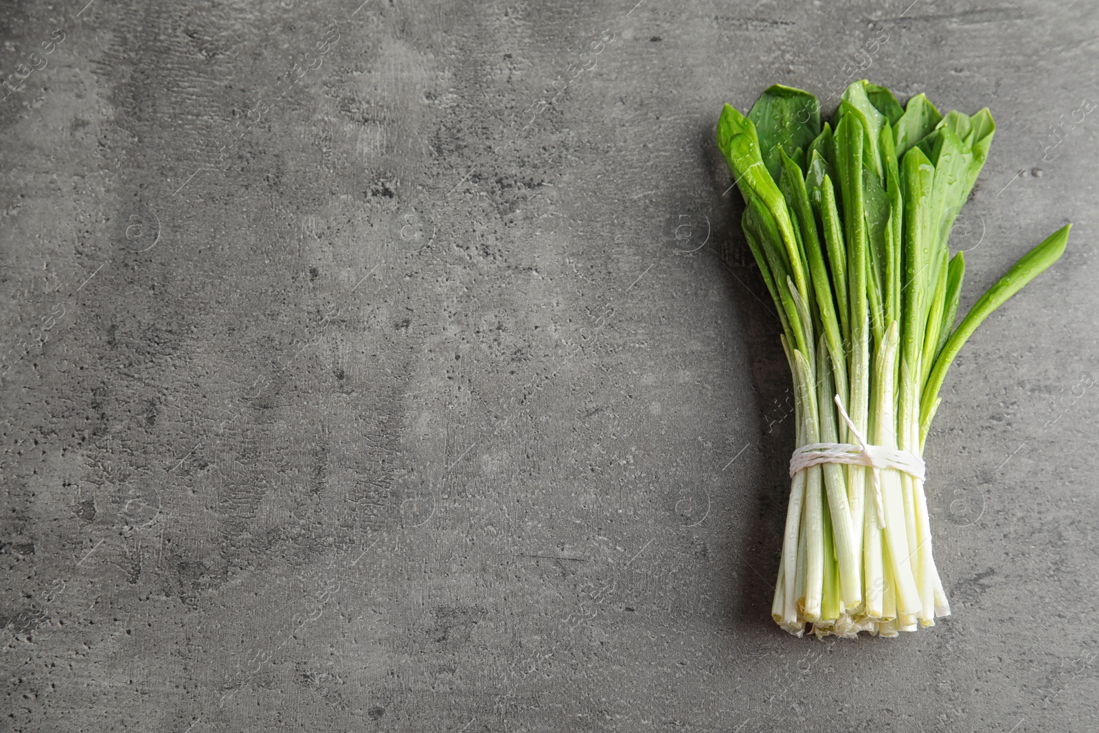 Photo of Bunch of wild garlic or ramson on grey table, top view with space for text