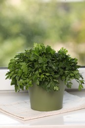 Photo of Aromatic parsley growing in pot on window sill. Space for text