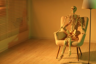 Waiting concept. Human skeleton sitting in armchair indoors, space for text