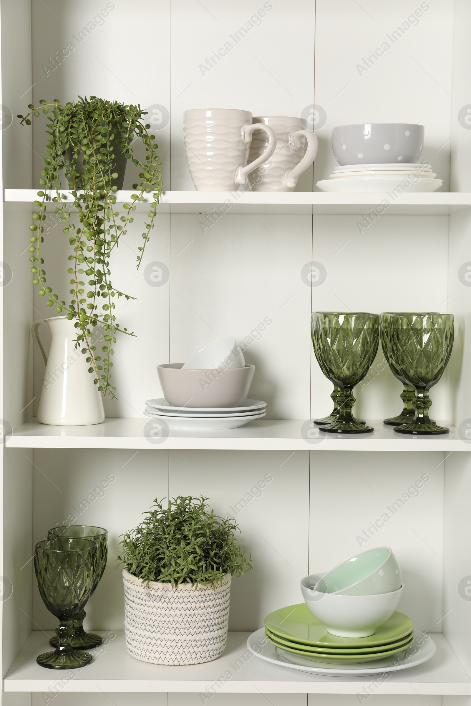 Photo of Different clean dishware and houseplant on shelves in cabinet indoors