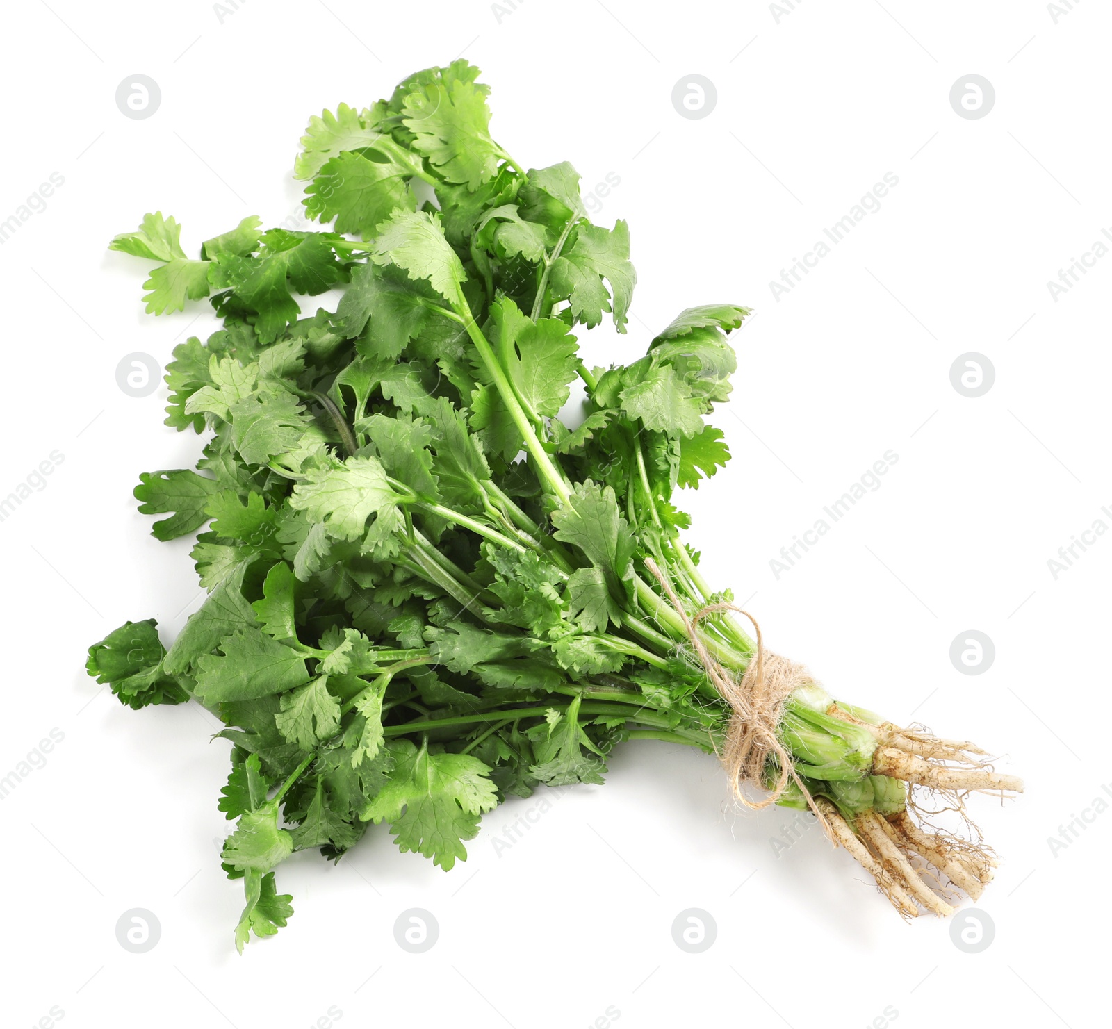 Photo of Bunch of fresh coriander on white background, top view