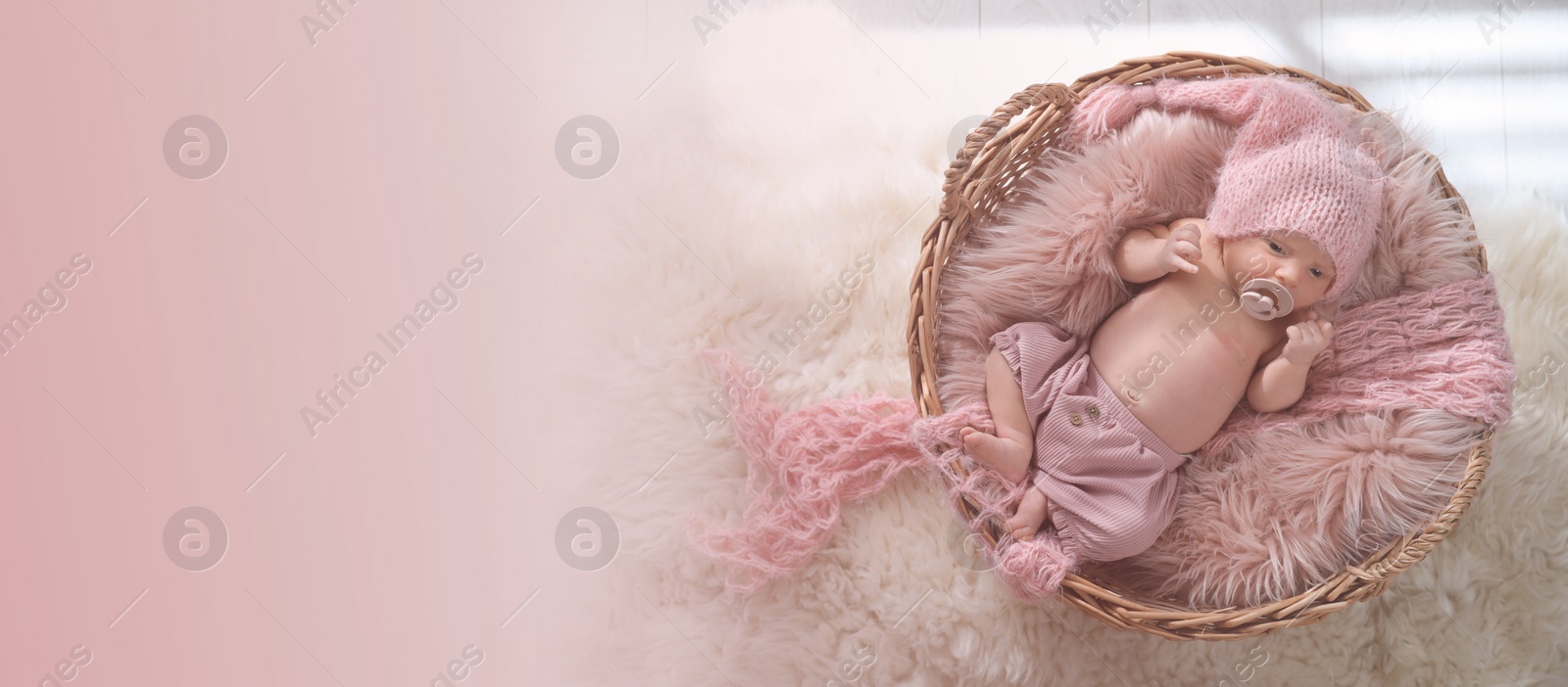 Image of Adorable newborn baby with pacifier in wicker basket, top view with space for text. Banner design