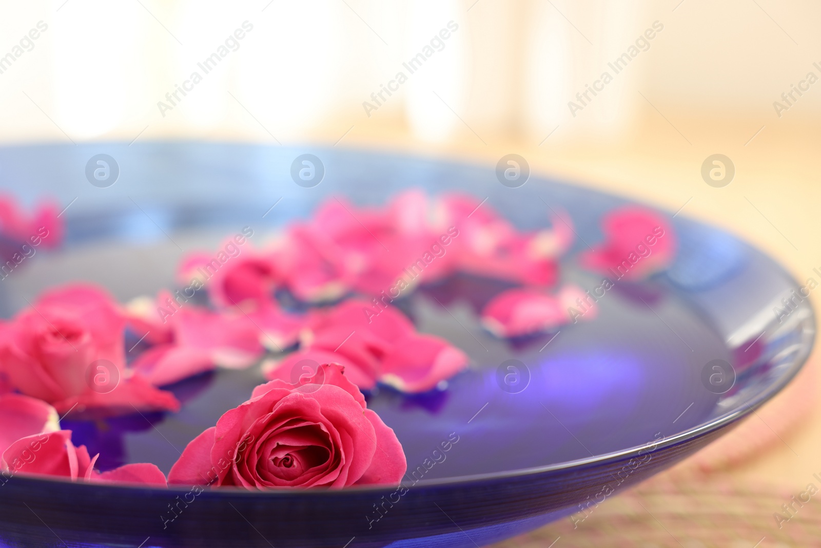 Photo of Pink roses and petals in bowl with water on table, closeup