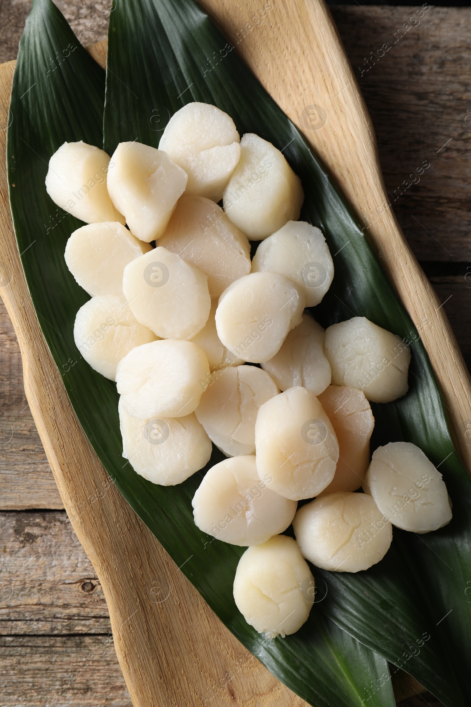 Photo of Fresh raw scallops on wooden table, top view