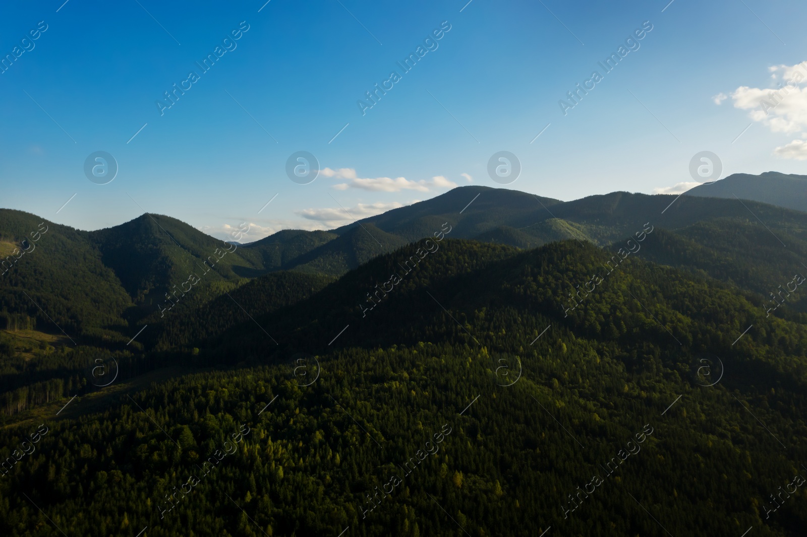 Image of Aerial view of beautiful mountain landscape with forest on sunny day. Drone photography