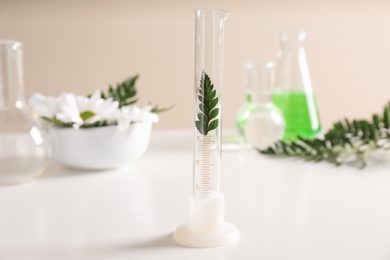 Photo of Graduated cylinder with leaf on table. Dermatology equipment