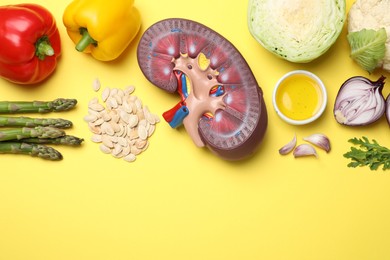 Kidney model and different healthy products on yellow background, flat lay. Space for text