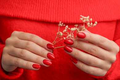 Photo of Woman with red polish on nails holding gypsophila, closeup