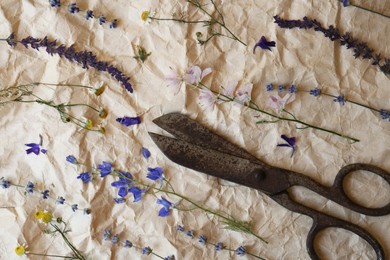 Photo of Beautiful dried flowers and old scissors on crumpled paper, flat lay