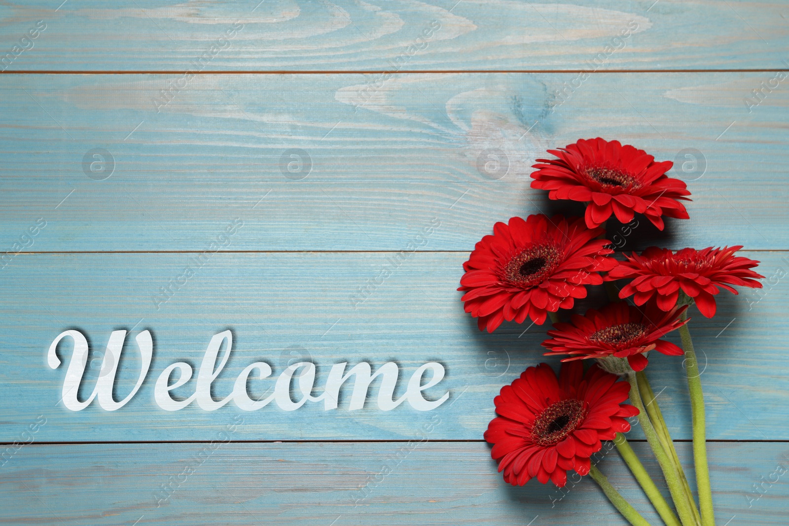 Image of Welcome card. Beautiful red gerbera flowers and word on light blue wooden table, top view