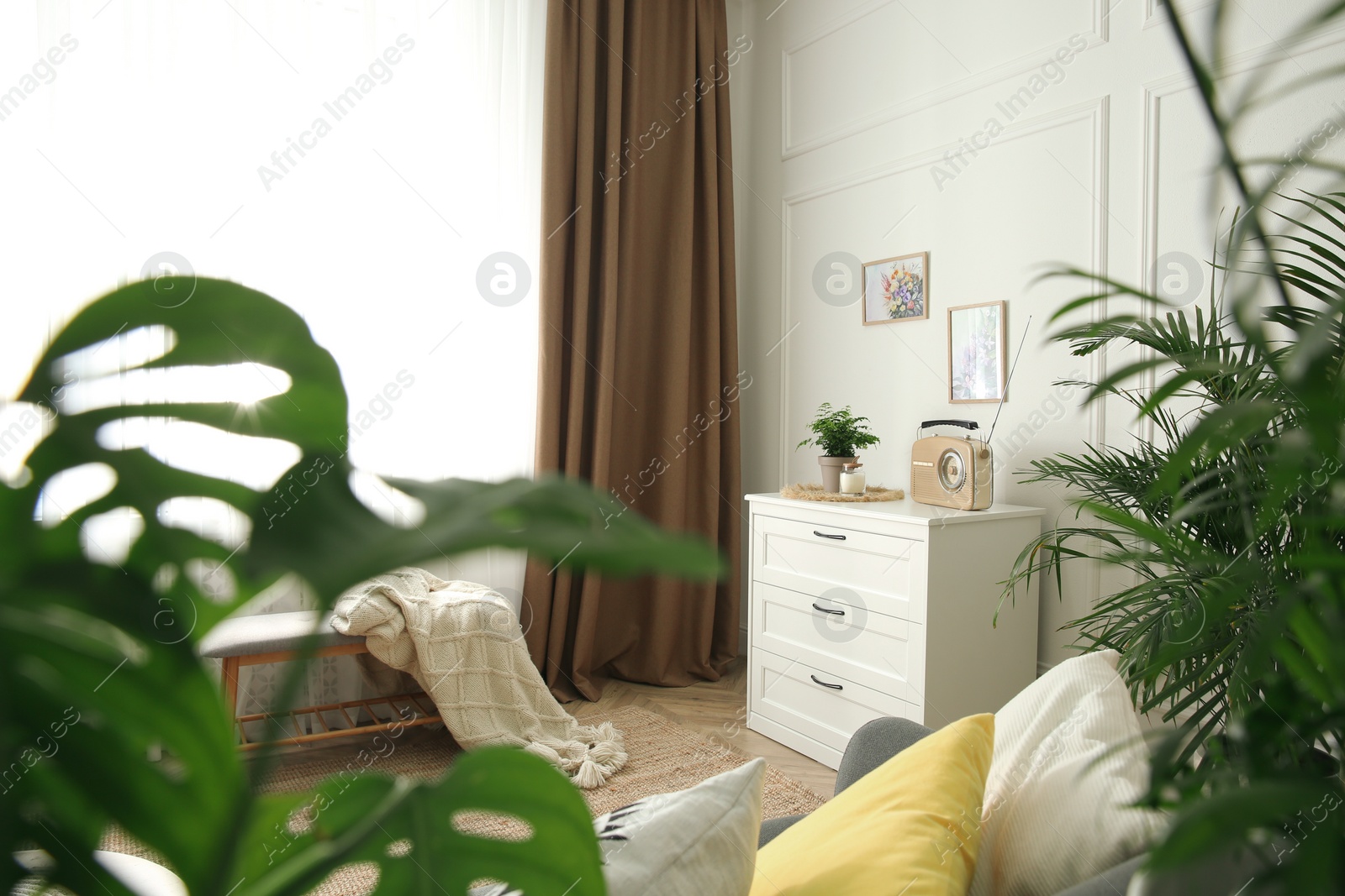 Photo of Cozy room interior with houseplants and stylish furniture