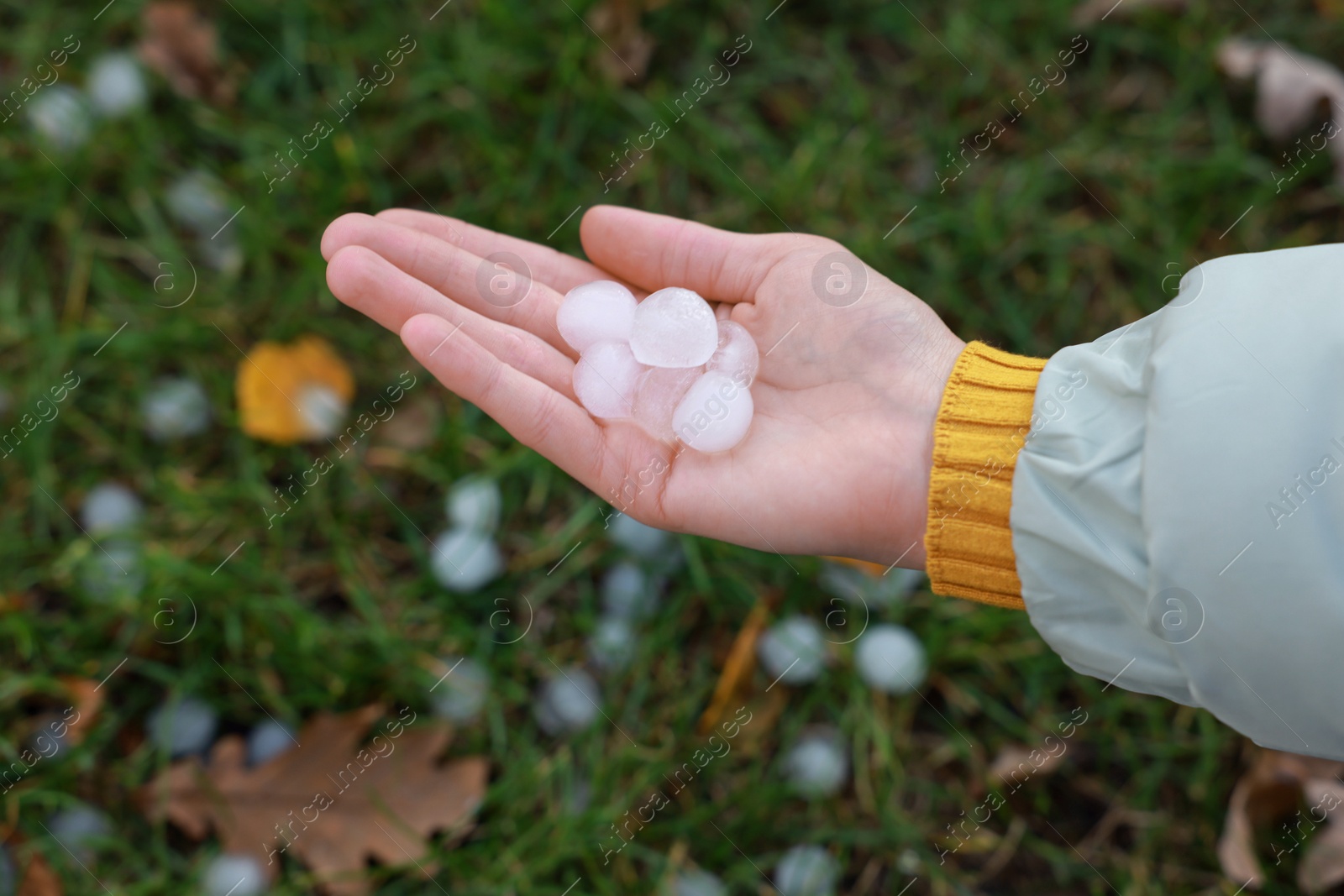 Photo of Woman holding hail grains after thunderstorm outdoors, closeup