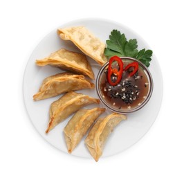 Photo of Delicious gyoza (asian dumplings) with soy sauce, pepper, parsley and sesame isolated on white, top view
