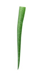 Aloe vera leaf on white background