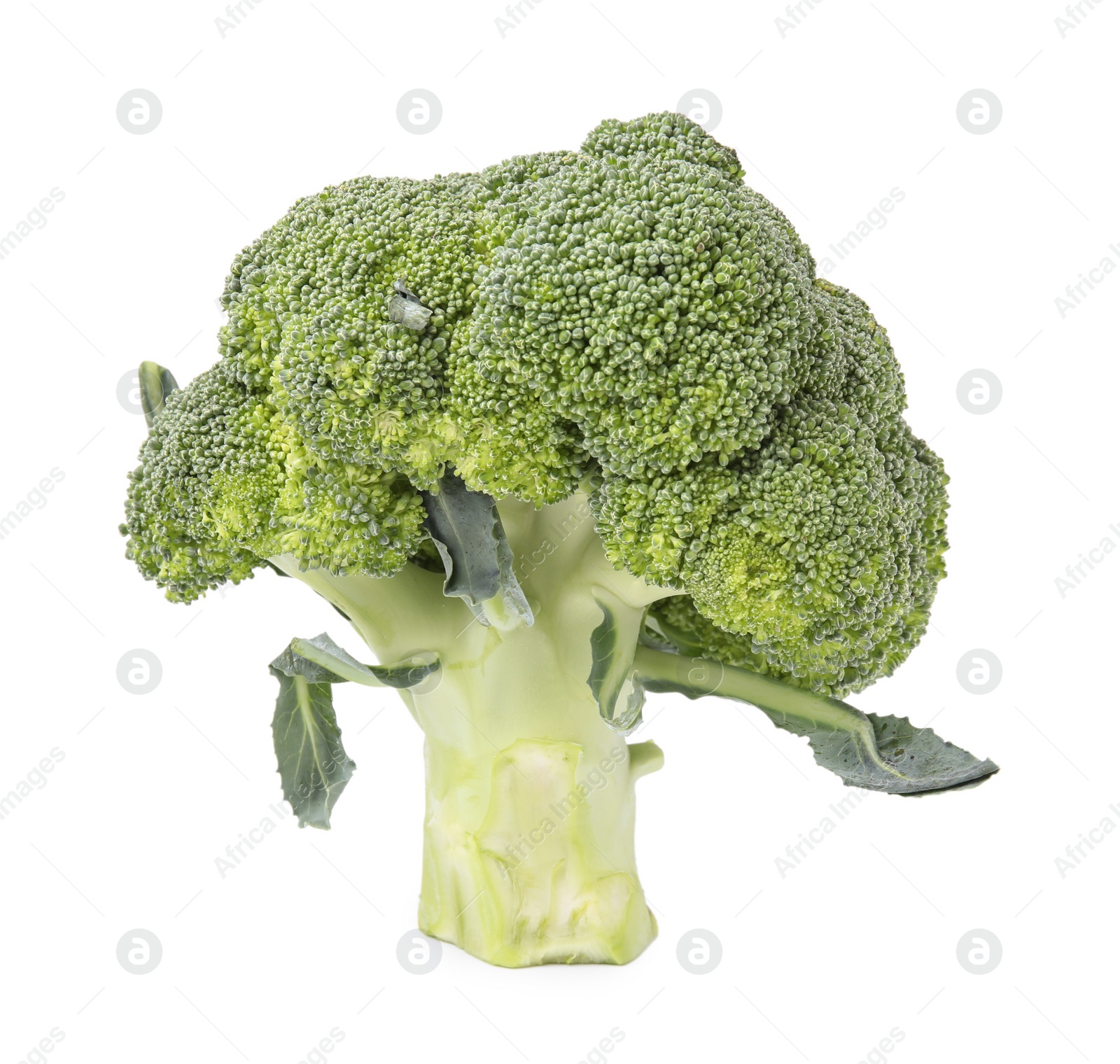 Photo of Fresh raw green broccoli isolated on white